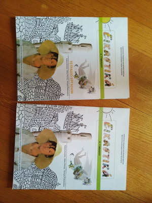 Visual arts books for 1st grade gymnasium new, set of 2