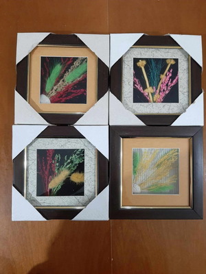 Set of 4 new flower frames