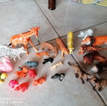Jungle animals like new, pack