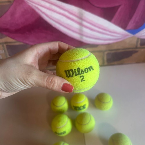 Tennis ball set of 8 with mesh carrying bag, Wilson, Head Pro, Penn