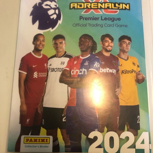 Panini Premier League 2024 Complete Basic Collection