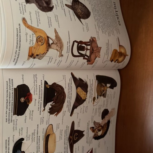 Illustrated Dictionary of Military Uniforms