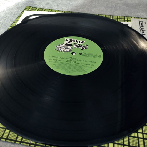 2 Cowboys Everybody Gonfi Gon 12'' Vinyl Maxi Single used, electronic