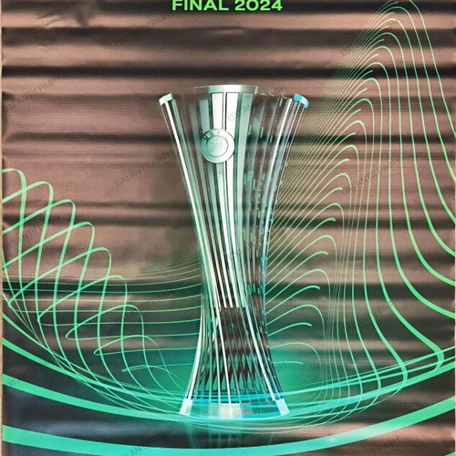 Final 2024 Europa poster on fabric collectors new
