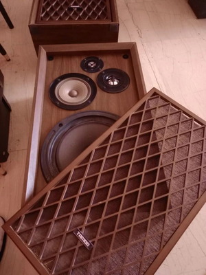 Ηχεία Tamon TS-4070 vintage 4 δρόμων επιδαπέδια, made in Japan