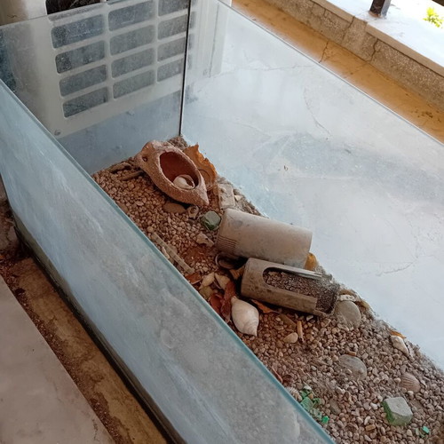 Fish tank without lid, used, about 1 year