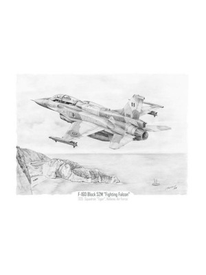 F-16D Block 52M Painting of 335 Squadron Tiger New