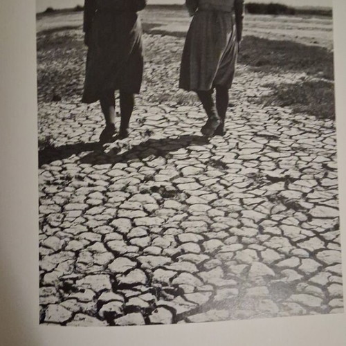 Album Harisiadis Benaki Museum like new, 334 pages