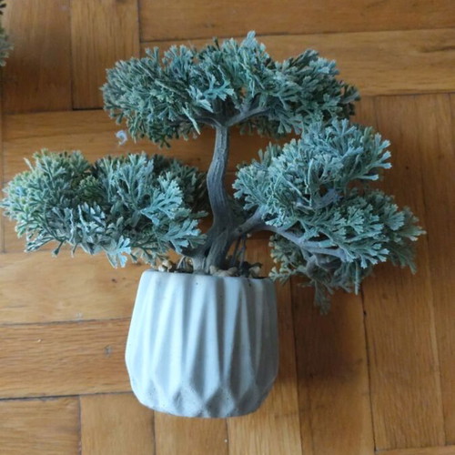 Decorative plants new, set of 2 in clay pots