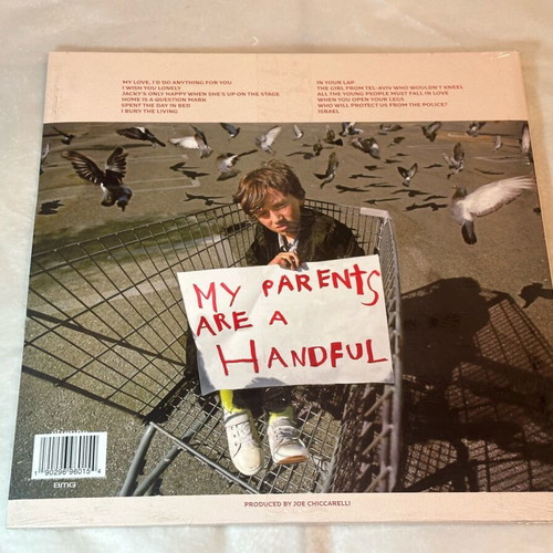 Morrissey Low in High School vinyl LP album new