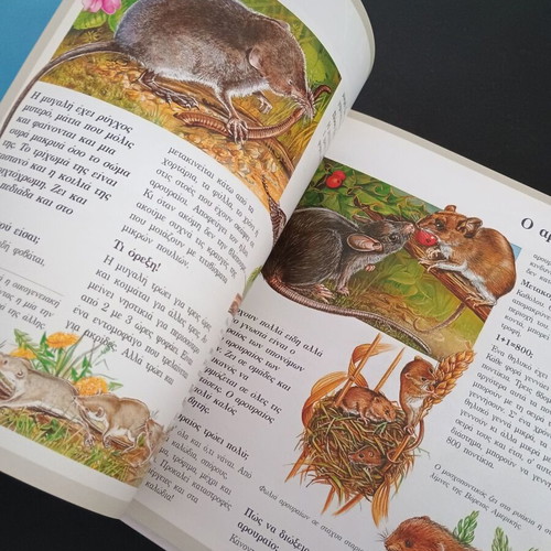 Книга Та Зоа Маджия Откриването на света като нова