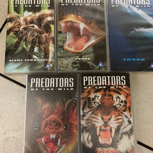Predators of the Wild VHS tapes used, pack of 5, 1993