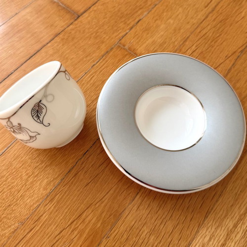 Ionia Coffee Cup and Saucer porcelain collection 2008 new