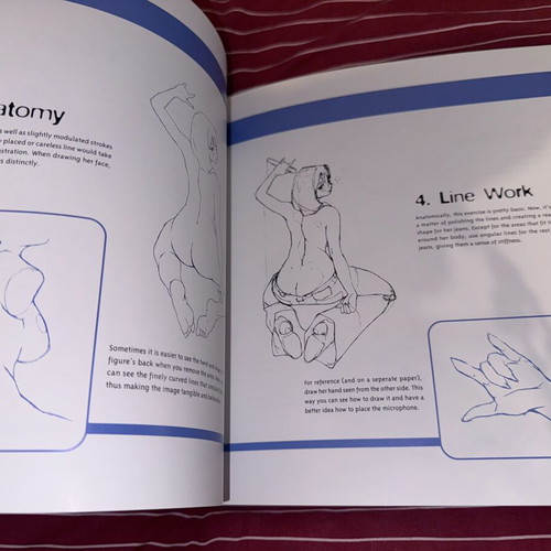 Draw Like the Experts Erotic Manga 2008 like new, 330 pages