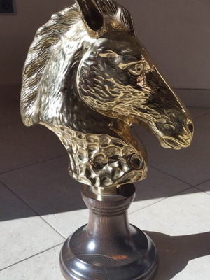 Horse head cast brass new, rare piece from Milan