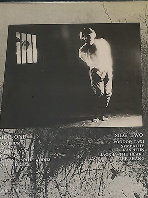 Certain General Novembers Heat LP βινύλιο μεταχειρισμένο, post punk-alternative