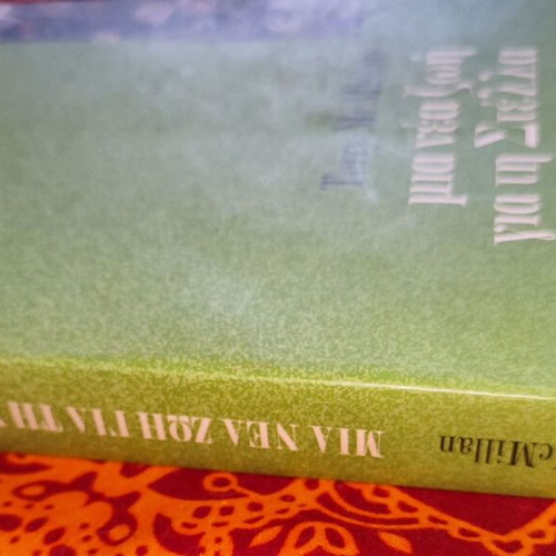 A New Life for Stella by Terry McMillan like new, Greek edition