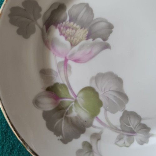 Vintage Rosenthal dessert set like new, 6 small and 1 large plate
