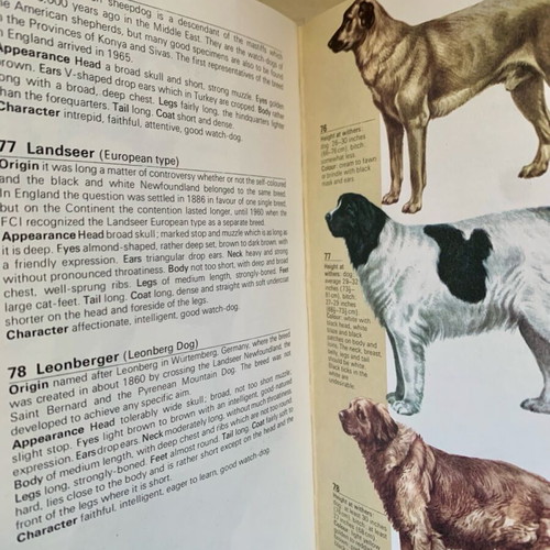 The Hamlyn Guide to Dogs hardcover like new