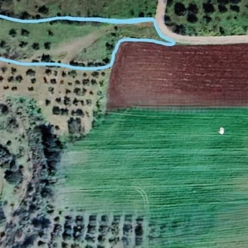 Agricultural land with olive trees 3,687 m² in Chalko Thiva area