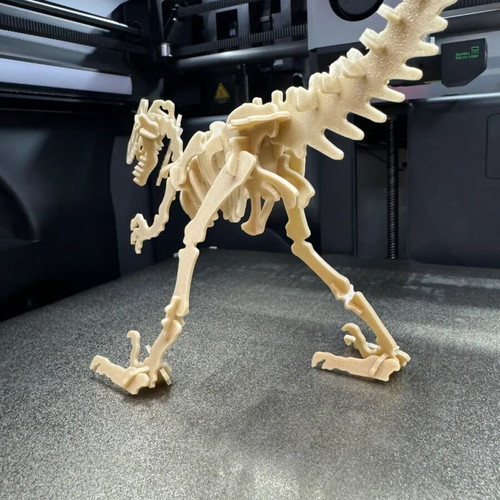 Velociraptor Kit Card new