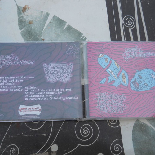 Painful Defloration / Infectious Catheter Therapy split CD, metal
