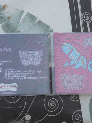 Painful Defloration / Infectious Catheter Therapy split CD, metal