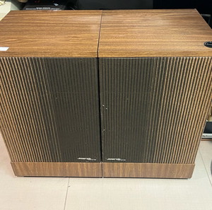 Bose 501 Series III Speakers - Pair Pick L&R Speakers