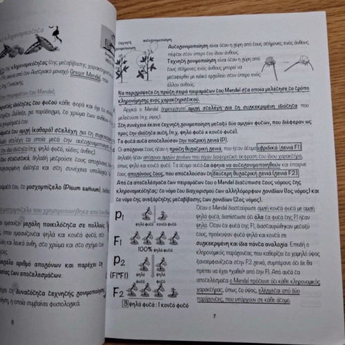 Biology Study Guides for Grade 3 Lyceum used, health direction