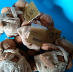 Teddy bears new, per piece