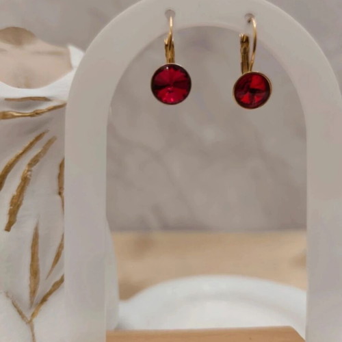 Steel earrings with red diamond new