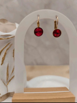 Steel earrings with red diamond new