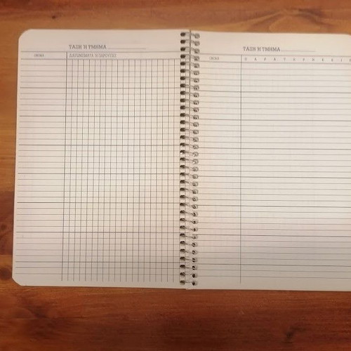 Vintage 80s Globus Grade Book Spiral & Biokart Blue Check Notebook
