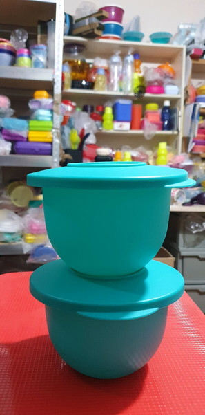 μπωλ εξπρεσιον 2×  500 μλ !Tupperware