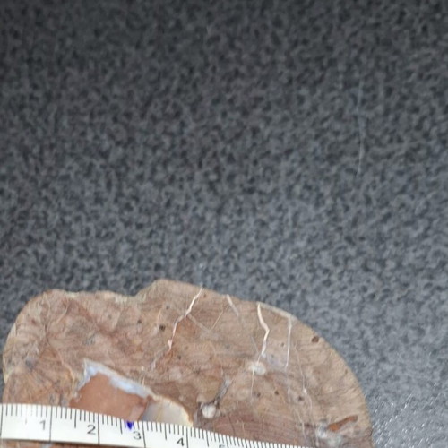 Thunderegg Agate half nodule polished, like new, 11.5 cm