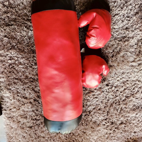 Boxing bag and gloves for kids like new