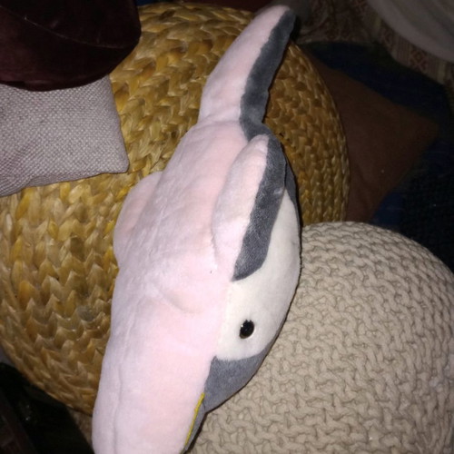 Plush dolphin new, can be used as a pillow