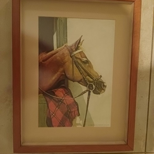 3D embossed horse painting like new, made in Italy