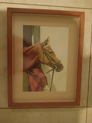 3D embossed horse painting like new, made in Italy