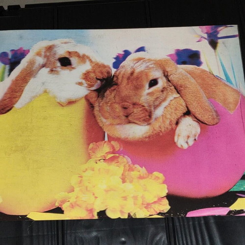 3D Picture With Bunnies In Eggs, Like New, 39x29 cm