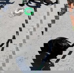  ΧΛΟΟΚΟΠΤΙΚΟ