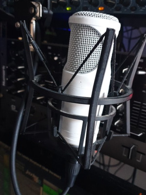 Professional microphone for radio station new