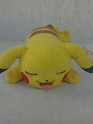 Λούτρινο κουκλάκι Pokemon