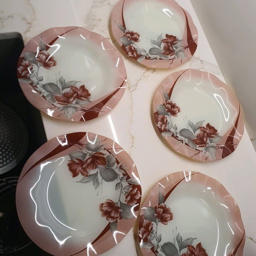 Set of 5 plates used