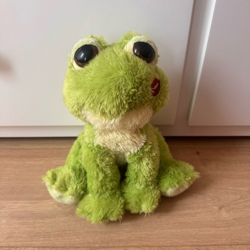 Aurora 10" Dreamy Eyes Fantabulous Frog Plush Toy like new