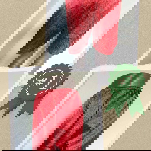 Κόκκινα σατέν βερμούδα με σχέδιο φίδι σαν καινούργια