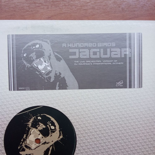 Jaguar DJ Rolando maxi single record used, 1990s 2000s