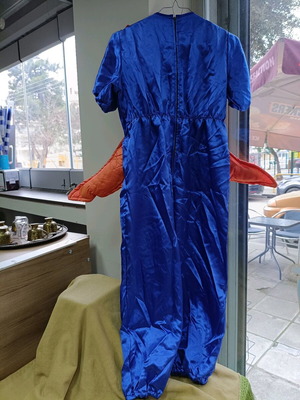 Star carnival costume used