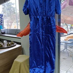Star carnival costume used