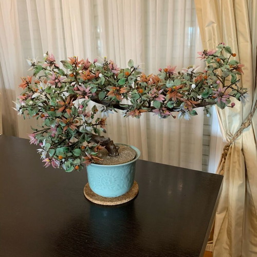 Bonsai jade tree collectible like new in ceramic pot